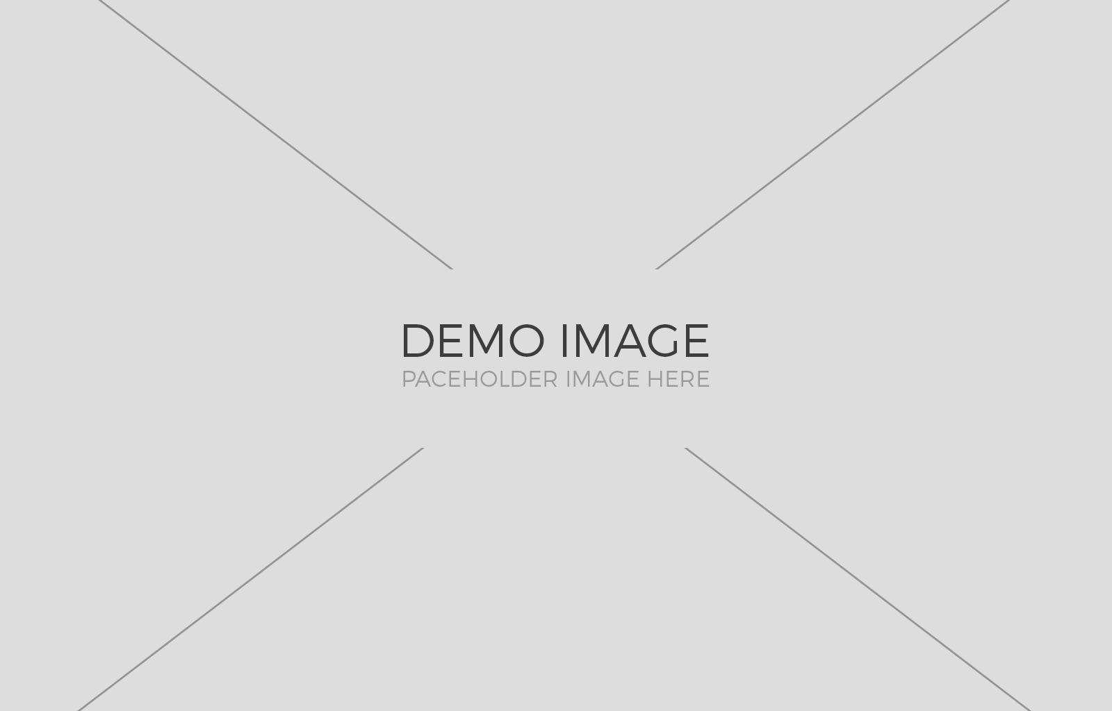 demo-img-2 2